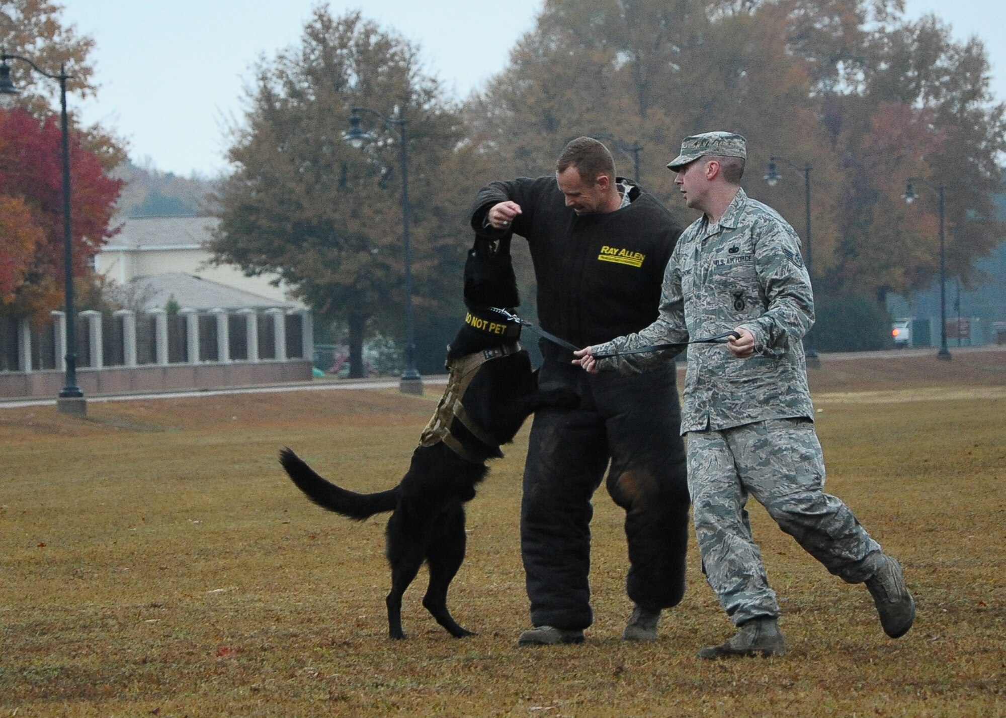 Maci, a military working dog, bites down on Col. Jim Sears, 14th Flying Training Wing Commander, arm while he is wearing a the bite-suit at the  Military Working Dog Demonstration Nov. 22 outside of the Columbus Club. (U.S. Air Force Photo/Senior Airman Kaleb Snay)