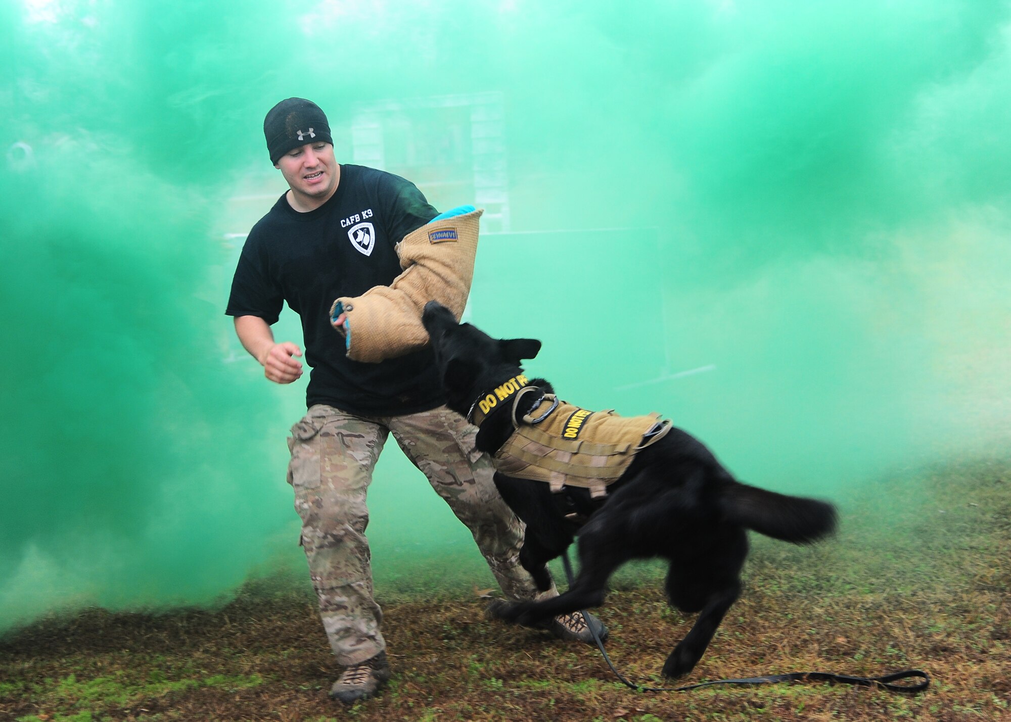 Maci, a military police working dog, attacks her target during a controlled aggression demonstration at the Military Working Dog Demonstration Nov. 22 outside of the Columbus Club. (U.S. Air Force Photo/Airman 1st Class Daniel Lile)