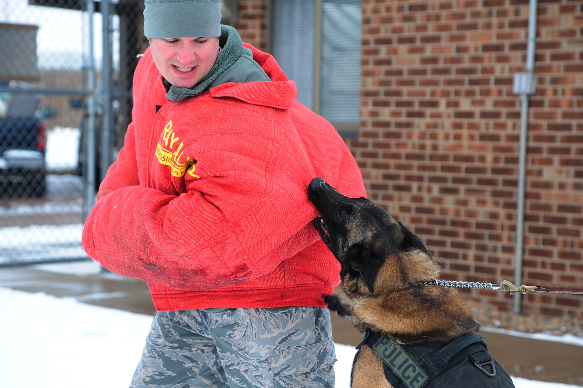 ALTUS AIR FORCE BASE, Okla. -- Zeus, 97th Security Forces Squadron military working dog, bites U.S. Air Force Staff Sgt. Ryan Pevey, 97th kennel master, during bite work training Nov. 25, 2013. Military working dogs are trained to bite and hold onto the suspect until their handler gives the command to release. (U.S. Air Force photo by Senior Airman Lausanne Genuino/Released)