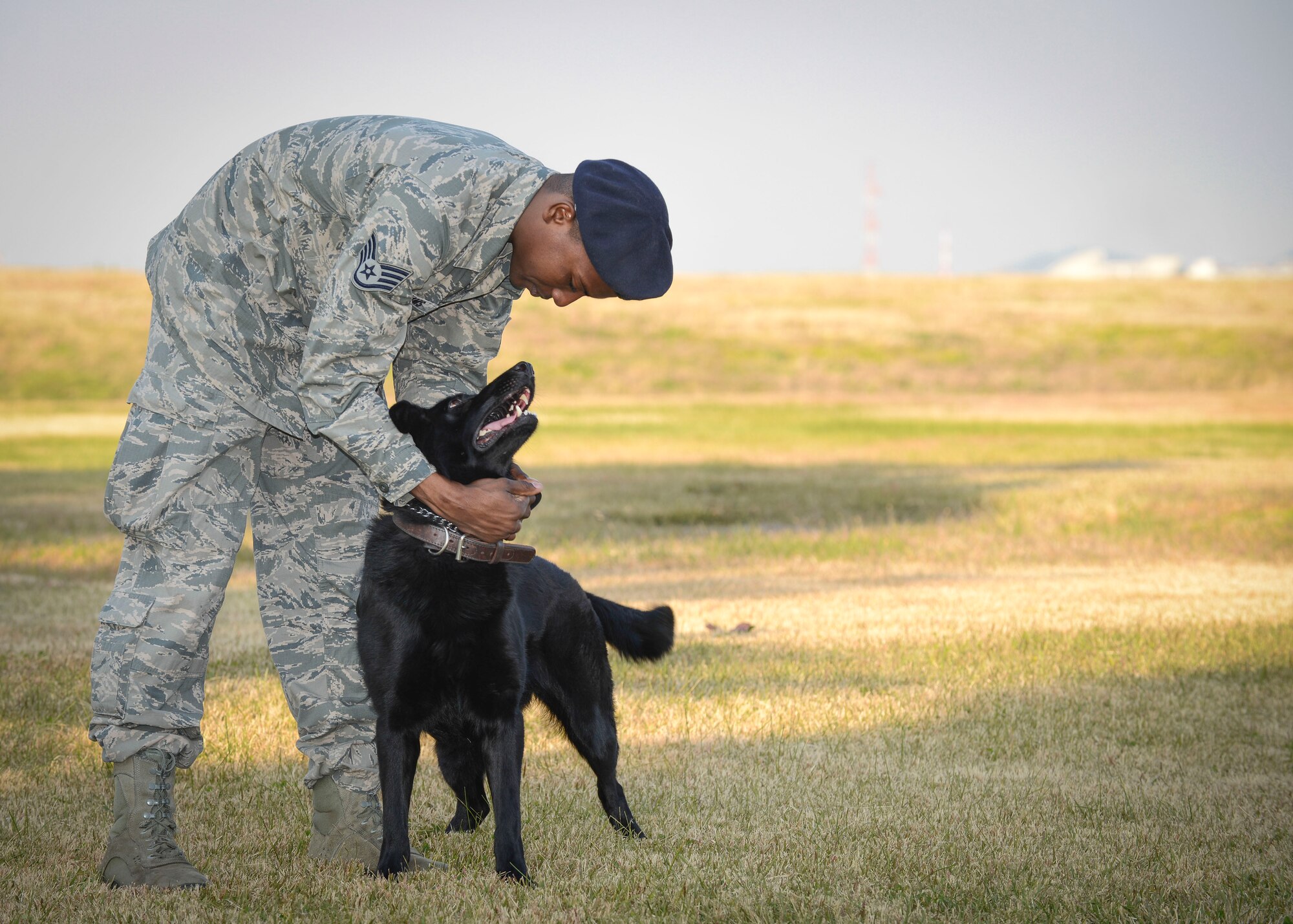 Staff Sgt. Mathis Williams, 374th Security Forces Squadron military working dog handler, pets Stella at Yokota Air Base, Japan, Nov. 18, 2013.  Williams and Stella are new partners and have been working with each other for little over a week. (U.S. Air Force photo by Airman 1st Class Meagan Schutter/Released)