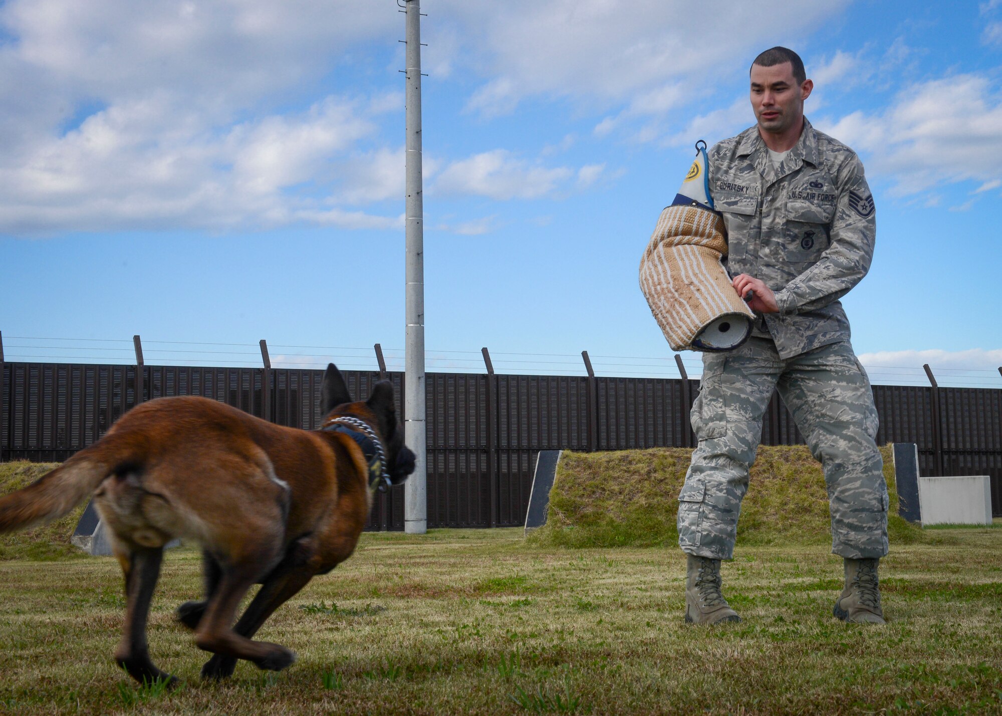 Staff Sgt. David Duritsky, 374th Security Forces Squadron military working dog kennel master, waits for Topa to bite the sleeve as part of an exercise at Yokota Air Base, Japan, Nov. 13, 2013.  The bite sleeve is a fundamental training exercise used for military working dogs. (U.S. Air Force photo by Airman 1st Class Meagan Schutter/Released)