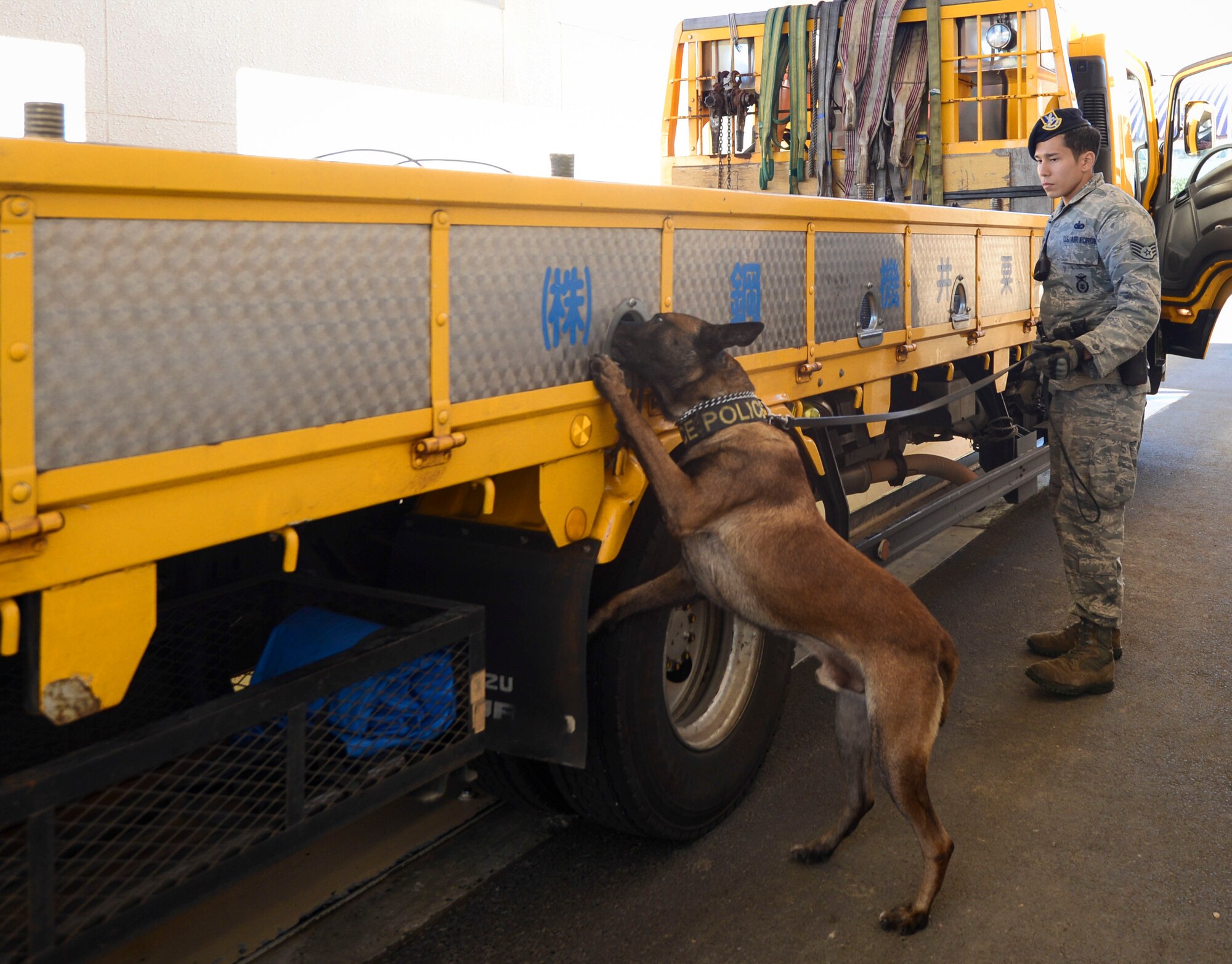 Staff Sgt. Jonathan Schreyer, 374th Security Forces Squadron military working dog handler, and Topa search an off base truck as it comes to Yokota Air Base, Japan, Nov. 22, 2013.  Off base trucks are inspected by military working dogs to ensure safety on base. (U.S. Air Force photo by Airman 1st Class Meagan Schutter/Released)
