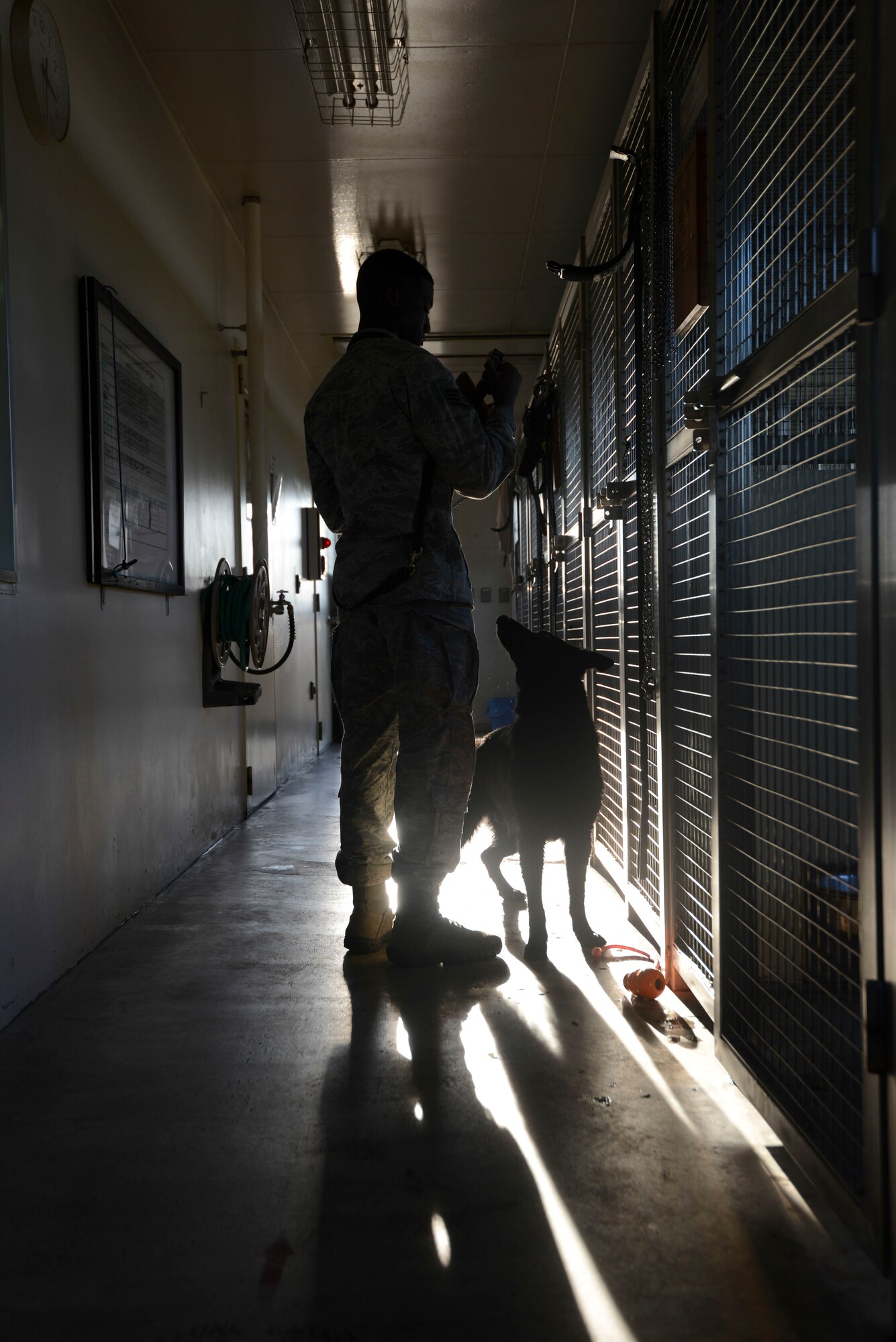 Staff Sgt. Mathis Williams, 374th Security Forces Squadron military working dog handler, and Stella get ready to go outside to train at Yokota Air Base, Japan, Nov. 20, 2013.  The canines get regular exercise and are constantly looked after by their handler. (U.S. Air Force photo by Airman 1st Class Meagan Schutter/Released)