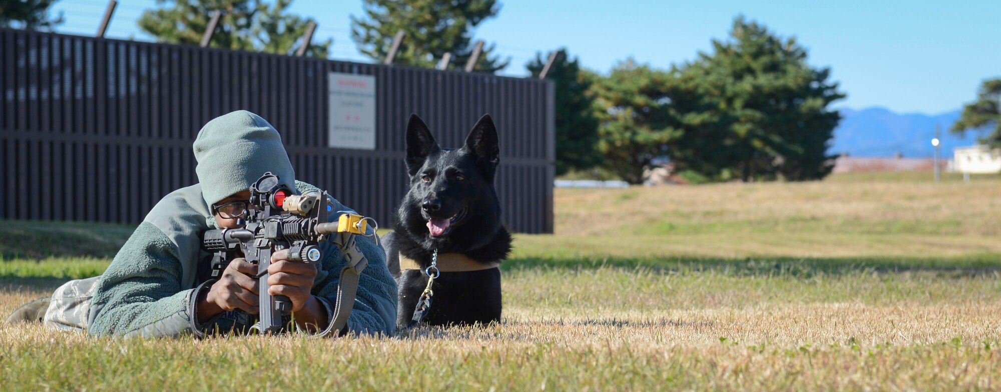 Staff Sgt. Mathis Williams, 374th Security Forces Squadron military working dog handler, practices gun fire familiarization with Stella at Yokota Air Base, Japan, Nov. 19, 2013.  This is practiced so the canines won't aggress with live fire during real-world situations. (U.S. Air Force photo by Airman 1st Class Meagan Schutter/Released)