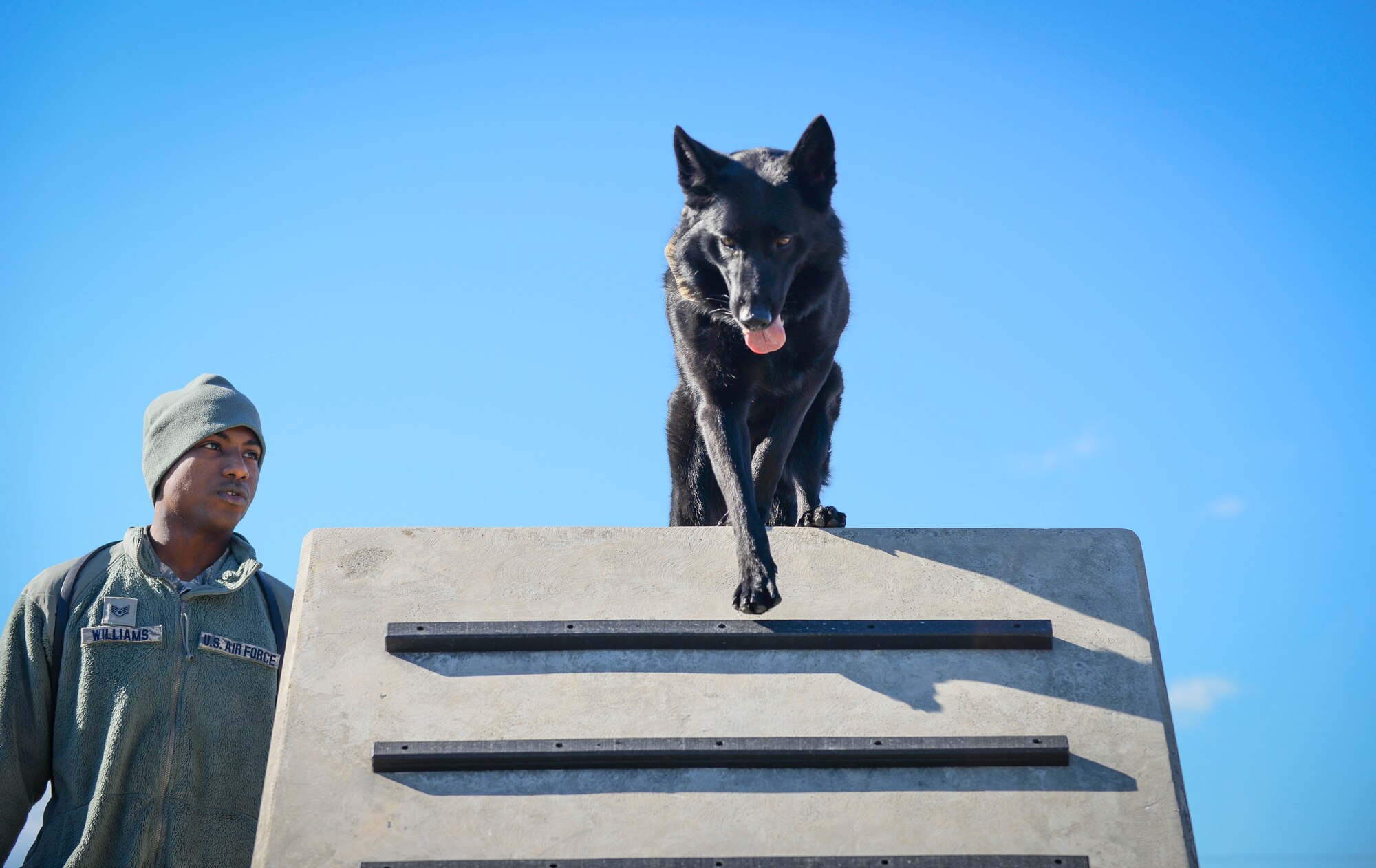 Staff Sgt. Mathis Williams, 374th Security Forces Squadron military working dog handler, leads Stella over an obstacle at Yokota Air Base, Japan, Nov. 19, 2013.  Teaching the dogs obedience is one of the many uses of the obstacle course. (U.S. Air Force photo by Airman 1st Class Meagan Schutter/Released)