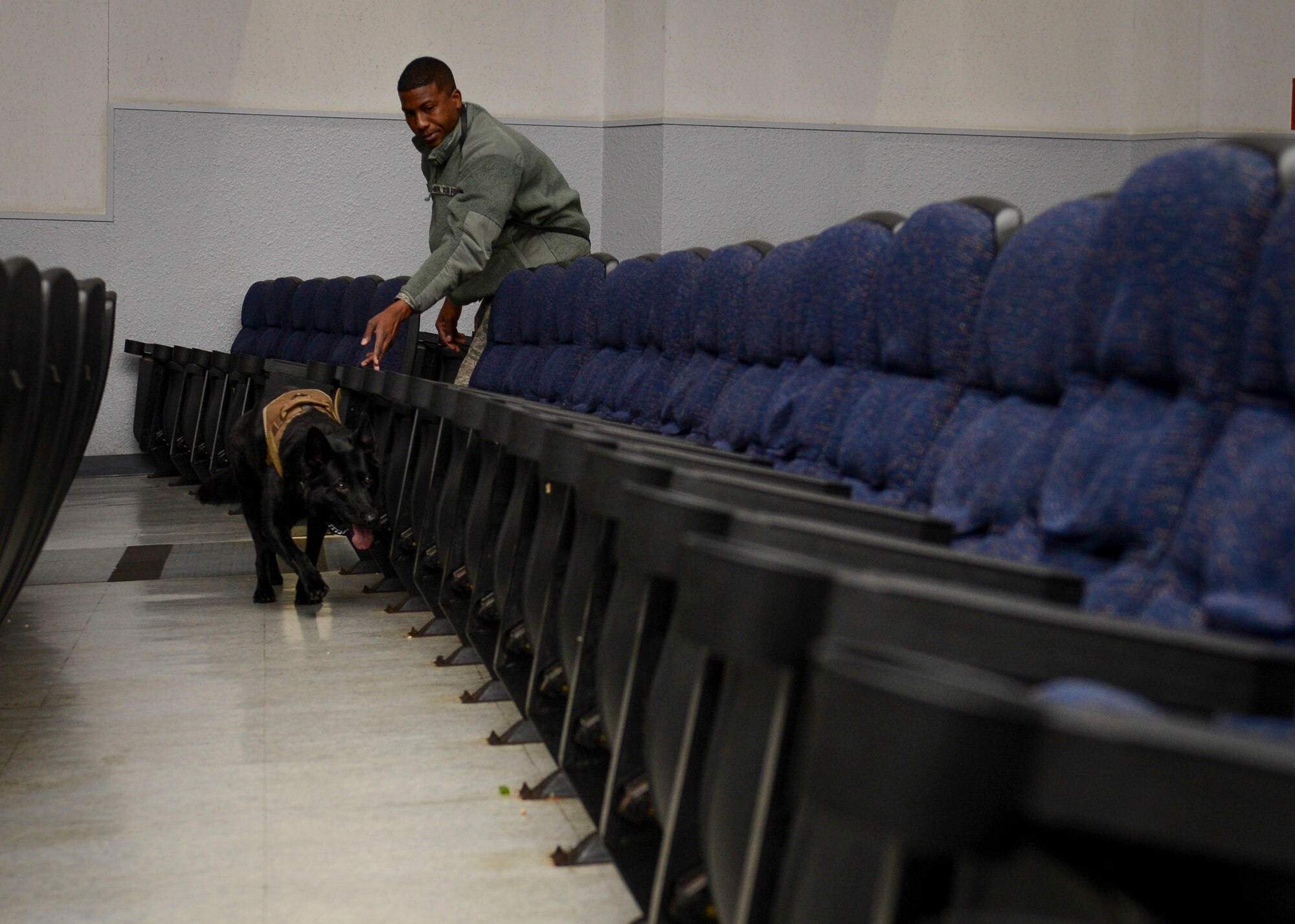 Staff Sgt. Mathis Williams, 374th Security Working Squadron military working dog handler, leads Stella through the aisles at the base theater in an aggression, detection, aggression training exercise at Yokota Air Base, Japan, Nov. 19, 2013.  The purpose of the exercise is to see how the canine reacts when finding a subject (aggression), then looking for explosive aids (detection), back to attacking a subject (aggression). (U.S. Air Force photo by Airman 1st Class Meagan Schutter/Released)
