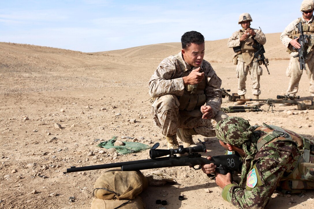 platoon essay Mail at: info@ambassadorkeralacom. platoon essay Mail at: info@ambassadorkeralacom.