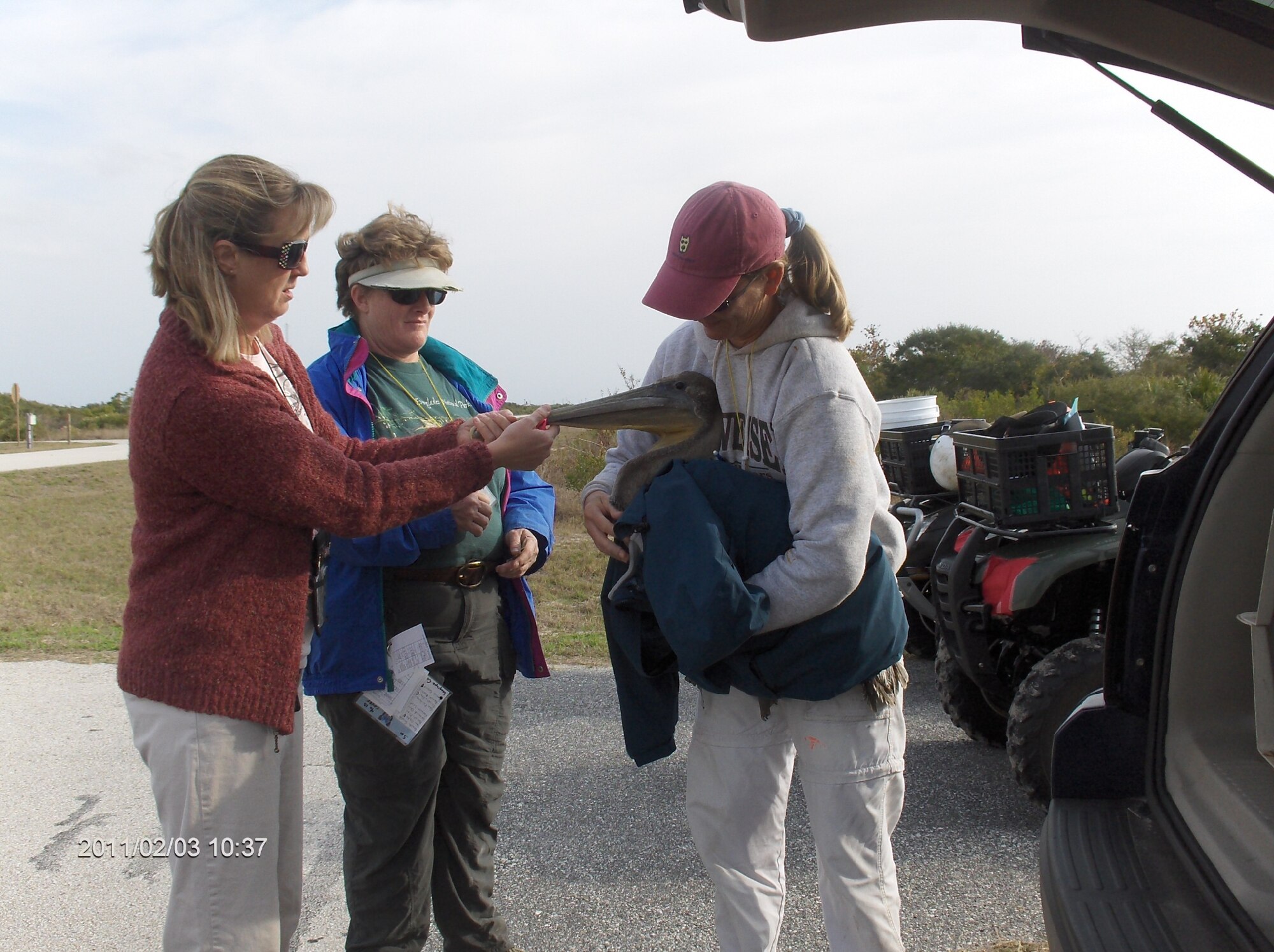 45th Space Wing Wildlife biologists rescue injured pelican. Pictured are (left to right) Mabel O'Quinn, Martha Carroll, and Angy Chambers. (courtesy photo)