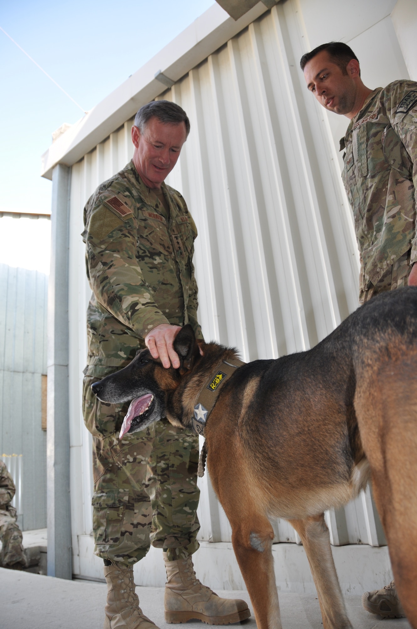Admiral William H. McRaven, commander, Special Operations Command, is introduced to a military working dog at the Heathe N. Craig Joint Theater Hospital during a Thanksgiving day visit at Bagram Airfield, Afghanistan, Nov. 28, 2013. (U.S. Air Force Photo/Tech. Sgt. Rob Hazelett)