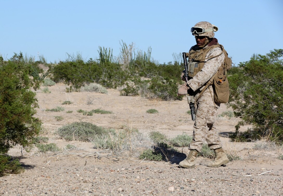 Lance Cpl. Christopher Wilson, a rifleman with Baker Company, 1st Battalion, 7th Marine Regiment, and a native of Alexandria, La., simulates attempting to detect improvised explosive devices with a mine sweeper during a training convoy here, Sept. 24, 2013. The Baker Co. Marines drove two Mine Resistant, Ambush Protected All Terrain Vehicles and two armored Humvees to a turnaround point nearly an hour away and then returned to their starting point. The convoy halted multiple times to simulate different situations such as a vehicle breaking down or hitting an IED.
