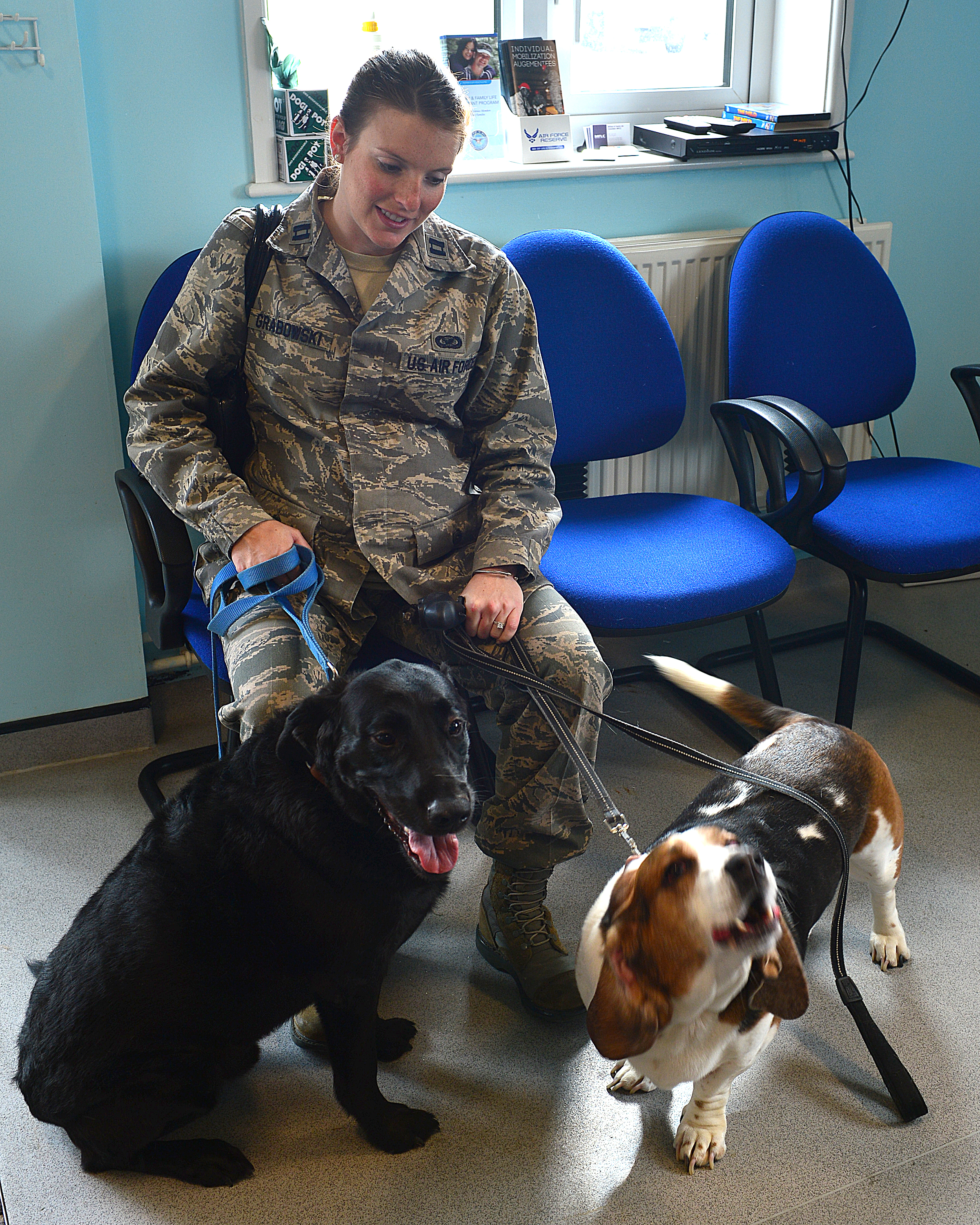 Domestic pets and their dedicated vets