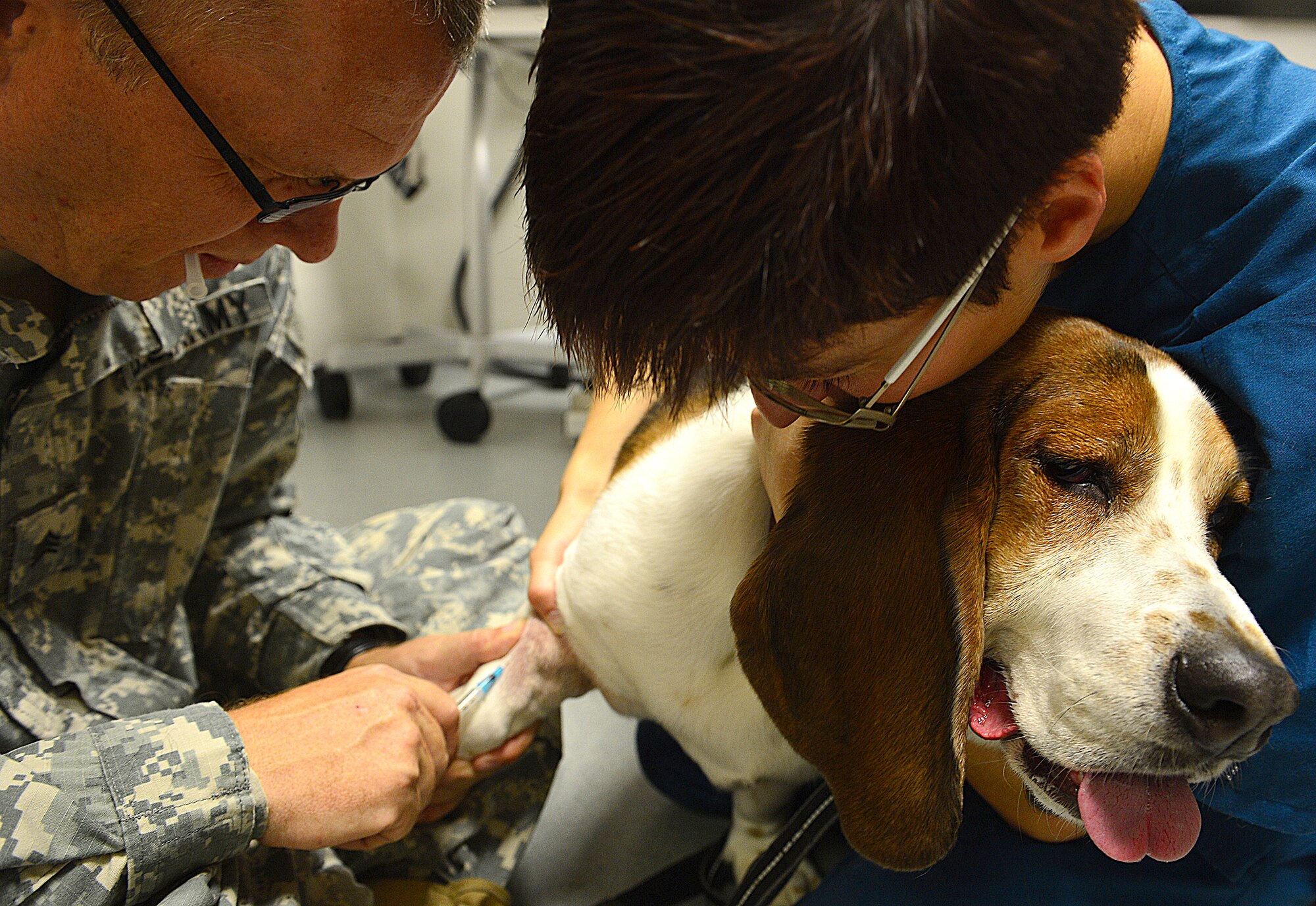 U.S. Army Sgt. Jeffery Souder, NCO in charge of the veterinary treatment facility and Ross Flick, veterinary animal health technician, draw blood from Baxter during his initial check-up appointment at Royal Air Force Feltwell Veterinary Clinic, England, Aug. 28, 2013. The Veterinary Clinic provides medical care to family pets of all U.S. forces in the United Kingdom, including care to military working dogs. (U.S. Air Force photo by Staff Sgt. Stephanie Mancha/Released)