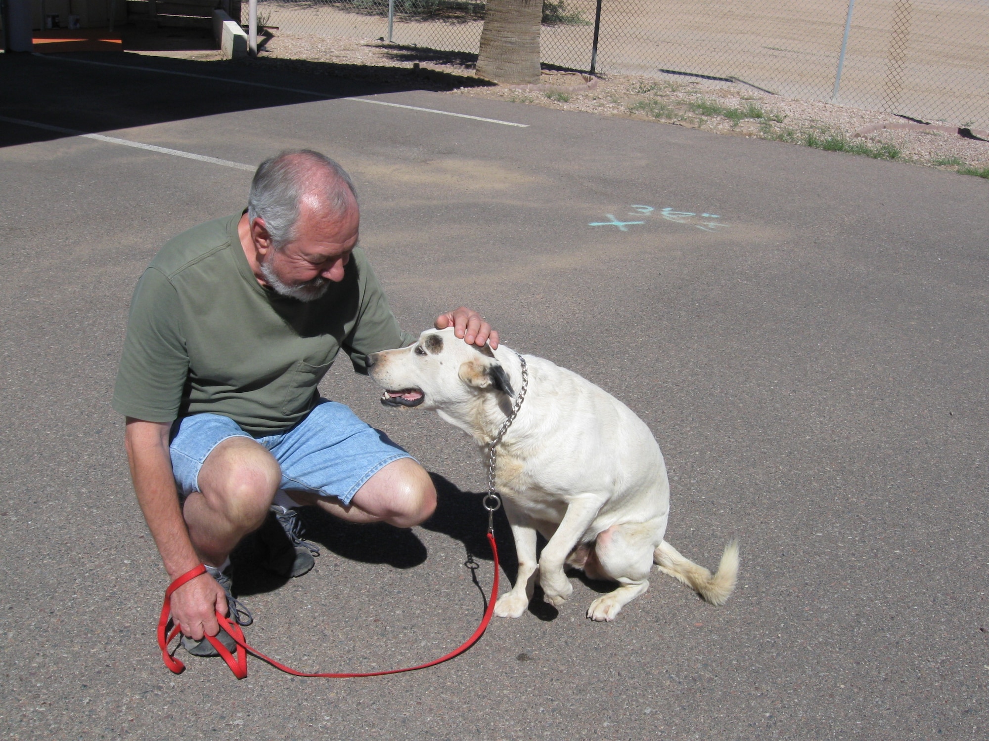 GILA RIVER SPACE SURVEILLANCE SITE, Ariz. – Grumpy, a stray dog turned ‘mascot’ for the crews at the AFSSS Gila River site, found a new home with a crew member after the AFSSS deactivation, Oct. 1. Each AFSSS site had a stray dog show up at their door and each time, a member of the crew adopted the homeless animal. (Courtesy photo)