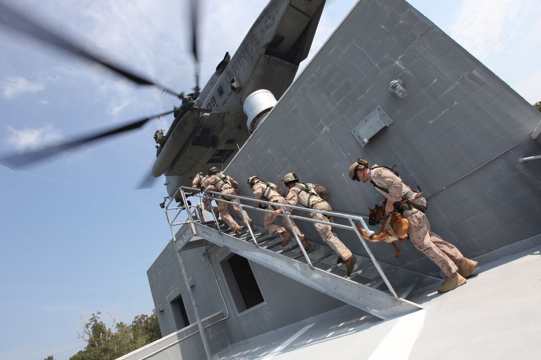 Marines with Marine Corps Special Operations Command move into position on roof top to prepare for a Special Patrol Insertion/Extraction exercise on a CH-53E aboard Camp Lejeune, N.C., Sept. 13, 2013. This training has helped the MARSOC MPC program in developing what will become the standard operating procedures. 
(U.S. Marine Corps photo by Sgt. Anthony Carter/Released)