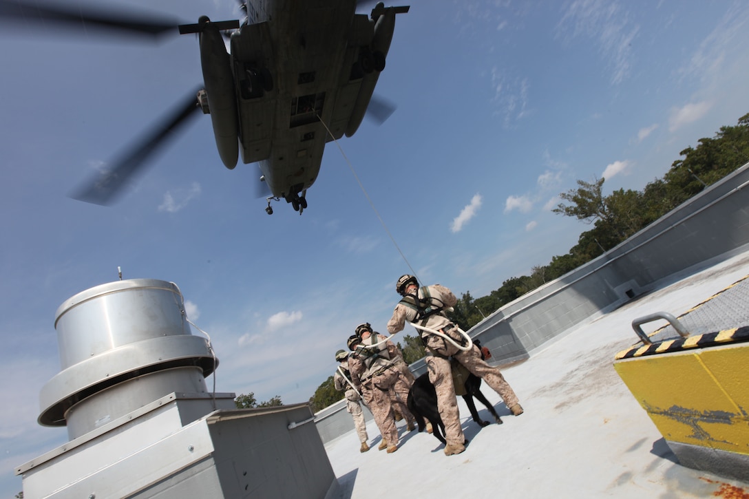 Marines with Marine Corps Special Operations Command hook on to a rope on roof top to prepare for a Special Patrol Insertion/Extraction exercise on a CH-53E aboard Camp Lejeune, N.C., Sept. 13, 2013. This training has helped the MARSOC MPC program in developing what will become the standard operating procedures. (U.S. Marine Corps photo by Sgt. Anthony Carter/Released)