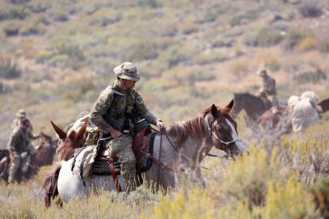 The MWTC near Bridgeport, Calif., has begun teaching an advanced horsemanship training course in order to teach Special Operations Forces (SOF) personnel the necessary skills to enable them to ride horses and move through terreain that can't be navigated by motor vehicles. Conditioned horses are able to travel more than 30 miles per day and can gallop at up to 40-miles per hour for short periods of time.