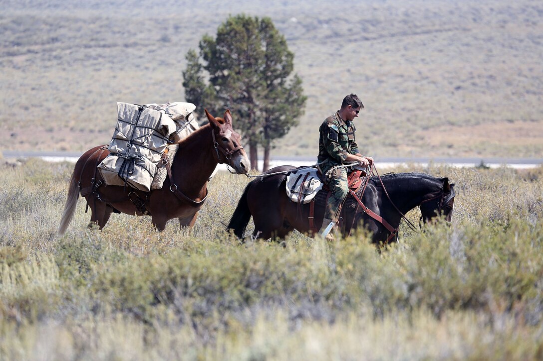 The MWTC near Bridgeport, Calif., has begun teaching an advanced horsemanship training course in order to teach Special Operations Forces (SOF) personnel the necessary skills to enable them to ride horses and move through terreain that can't be navigated by motor vehicles. Conditioned horses are able to travel more than 30 miles per day and can gallop at up to 40-miles per hour for short periods of time.