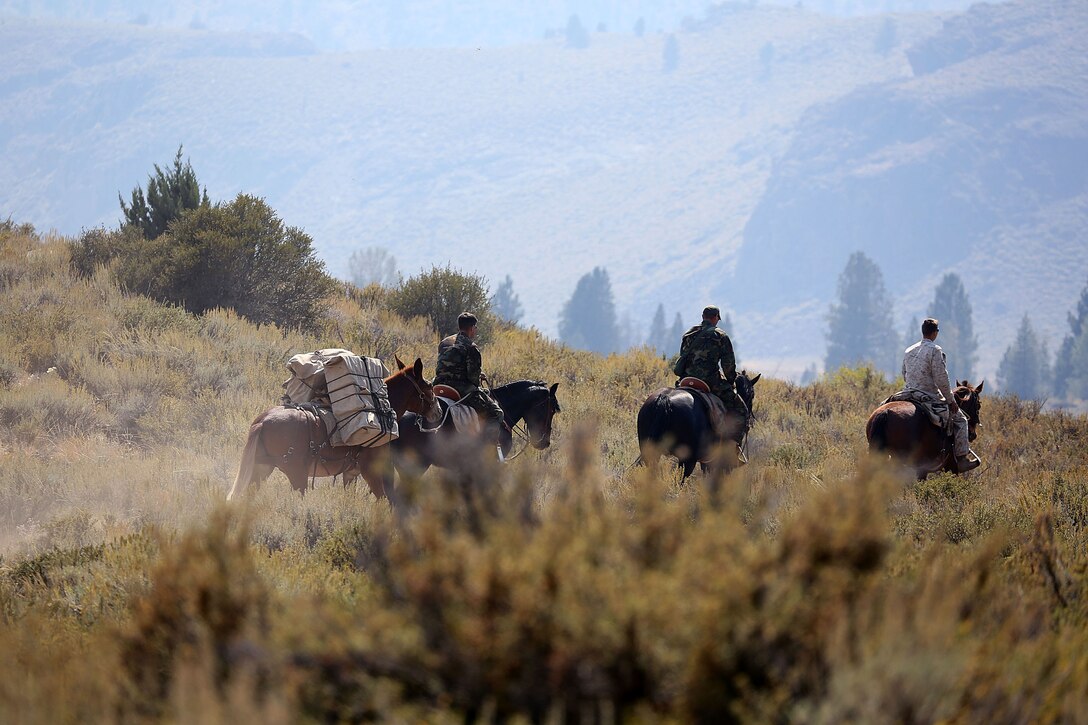 The MWTC near Bridgeport, Calif., has begun teaching an advanced horsemanship training course in order to teach Special Operations Forces (SOF) personnel the necessary skills to enable them to ride horses and move through terreain that can't be navigated by motor vehicles. Conditioned horses are able to travel more than 30 miles per day and can gallop at up to 40-miles per hour for short periods of time.