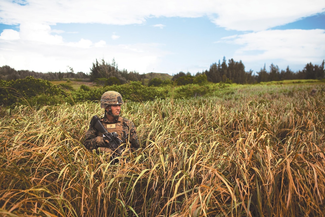 Lance Cpl. Lawrence Manton, team leader with second platoon, Bravo Company, 1st Battalion, 3rd Marine Regiment, and 20-year-old native of Lester, Pa., patrols through a field during a week-long training exercise at Kahuku Training Area, Sept. 30, 2013. The exercise introduced new knowledge and tactics to Marines who recently joined the platoon, which was observed by the squad leader and fellow team leaders. (U.S. Marine Corps photo by Lance Cpl. Matthew Bragg)