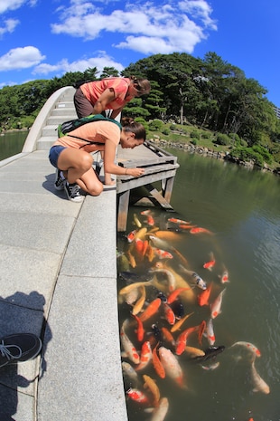 Brenda Piper, standing up, and Eileen Erwin feed the Koi Fish while on the Koko-kyo at the Shukkeien garden in Hiroshima Sept. 27, 2013. The Koko-kyo spans the center of the pond and is part of the circular-tour garden style pathway.