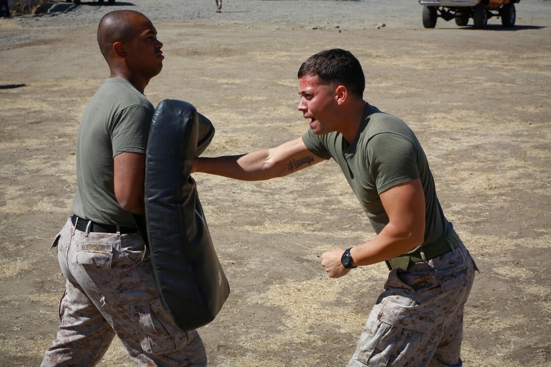 Lance Cpl. Garrett Ray, fire team leader, Delta Company, 1st Battalion, 1st Marine Regiment, strikes a punching bag simulating a notional aggressor after being sprayed in the face with pepper spray while enduring a nonlethal weapons training course here, Oct. 1, 2013. Marines of Delta Company are preparing for a deployment to the Middle East where they’ll provide embassy security. Ray is a San Antonio native.