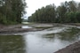 Sandy River Delta dam removal a success