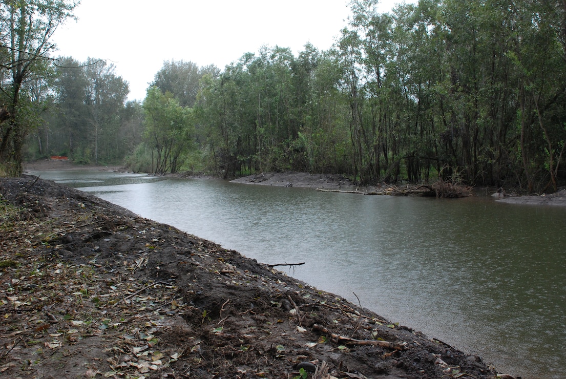 Sandy River Delta dam removal