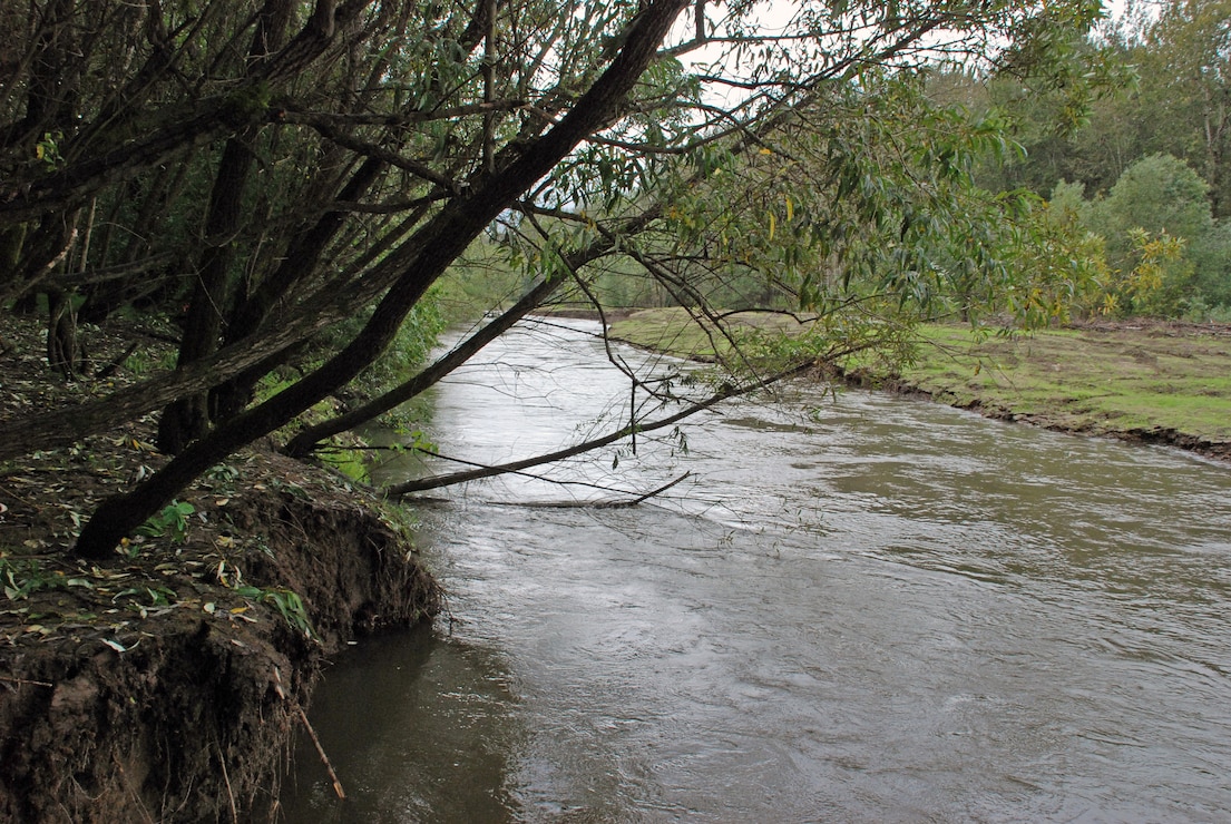 Sandy River Delta dam removal