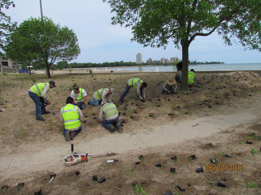 63rd Street workers planting 
