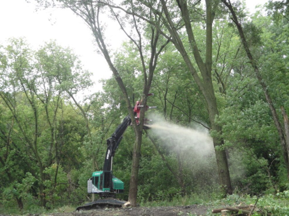 Tree clearing 