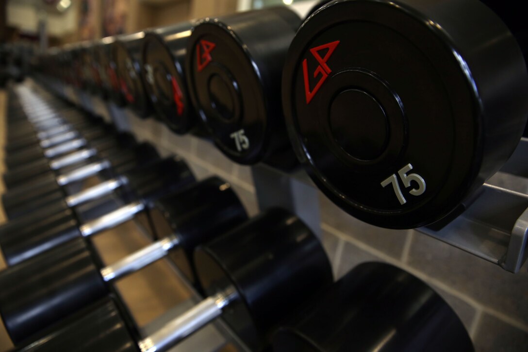 Free weights sit on a rack in the Wallace Creek Fitness Center aboard Marine Corps Base Camp Lejeune, Oct. 7. The free weights are in the main fitness room alongside other fitness equipment.