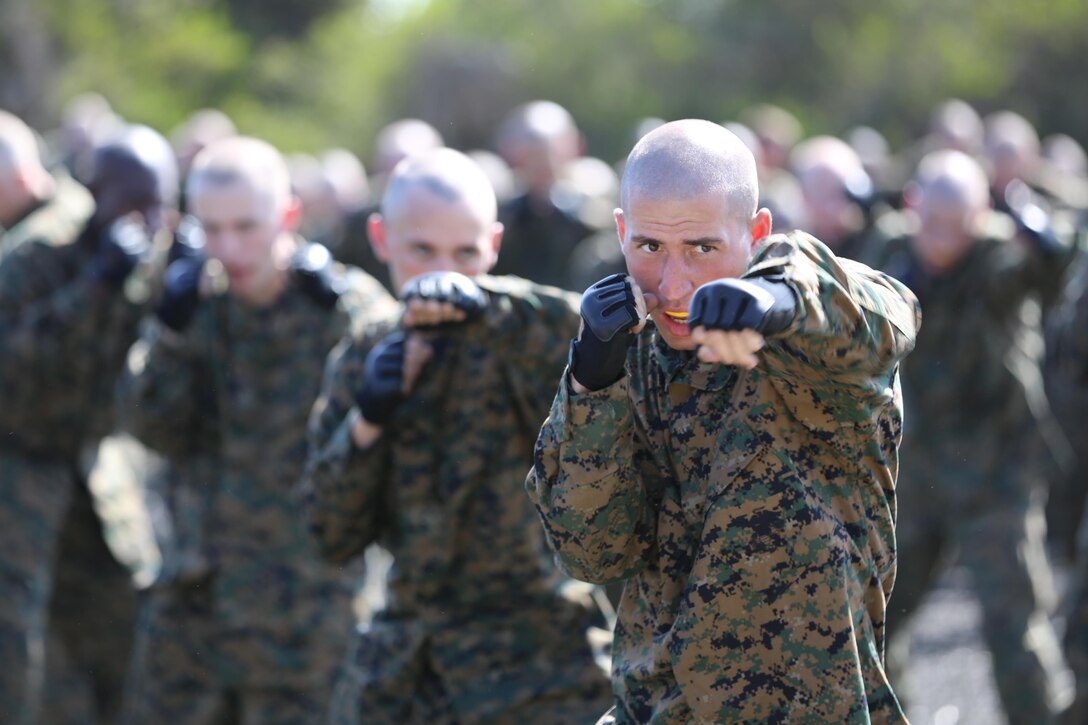 Recruit Albert L. Lenervile of Company H, 2nd Recruit Training Battalion, practices front hand punches during the introduction to the fundamentals of the Marine Corps Martial Arts Program aboard the depot, Sept. 18.  Though the recruits are learning the physical maneuvers of MCMAP, they are also given additional training on core values and morals.