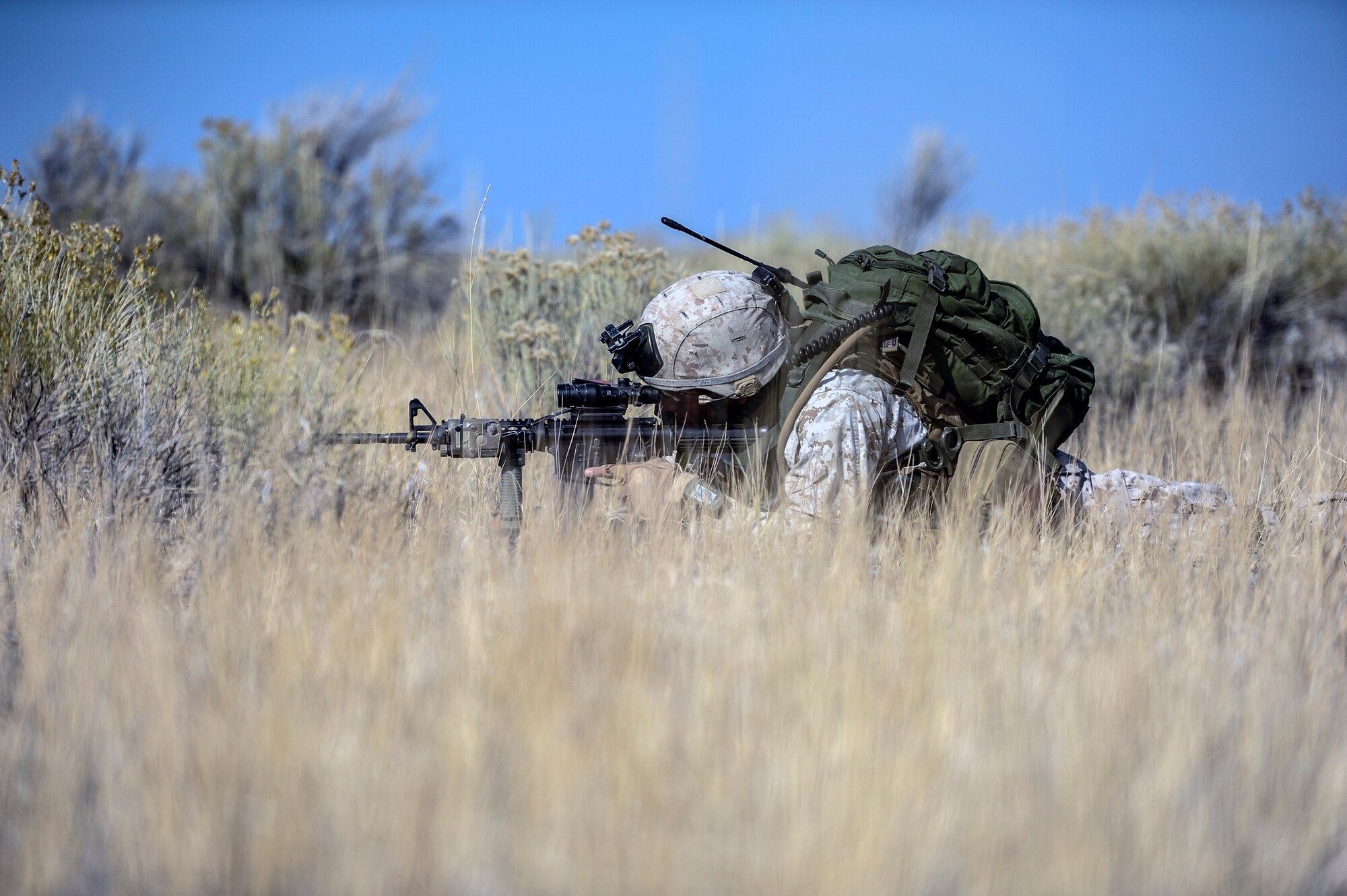A U.S. Marine from the 1st Air Naval Gunfire Liaison Company Supporting Arms Liaison Team, who has been training in the Idaho desert since Sept. 30, 2013, lays prone scanning for enemy activity at a Juniper Butte Bombing Range mock village near Mountain Home Air Force Base, Idaho, Oct. 9, 2013. The SALT assaulted the village and seized weapons of mass destruction during exercise Mountain Roundup 2013. (U.S. Air Force photo by Master Sgt. Kevin Wallace/RELEASED)