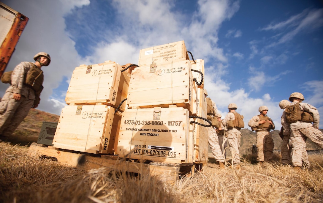 Crates of explosives and their components sit ready for disassembly and employment by infantry assaultmen with 1st Battalion, 3rd Marine Regiment at Kaneohe Bay Range Training Facility, Marine Corps Base Hawaii, Oct. 9, 2013. (U.S. Marine Corps photo by Cpl. Matthew Callahan)