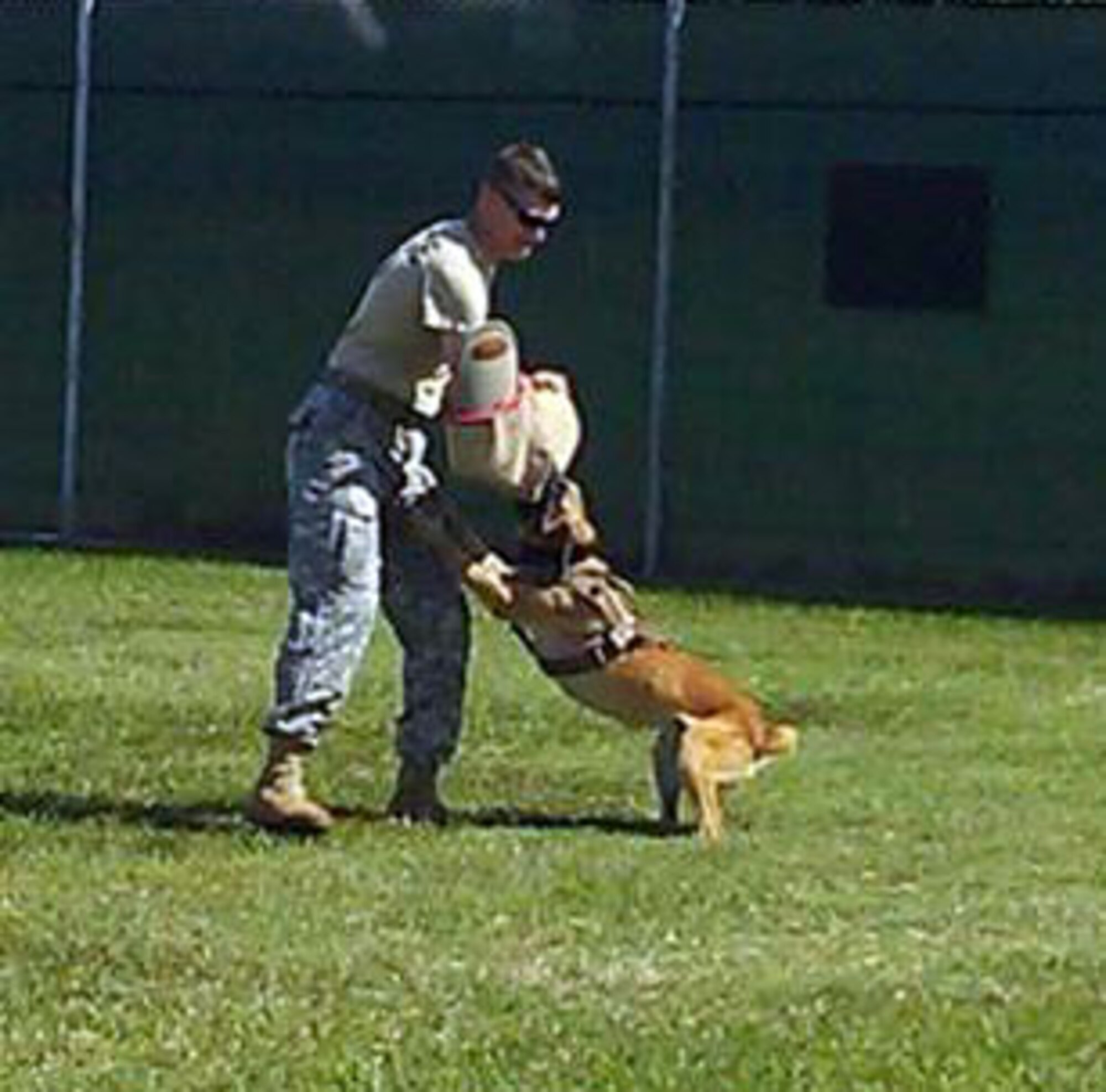 Joint Security Forces Kennel Master U.S. Army Sgt. 1st Class Chad Jones is part of a uniquely diverse team within the Joint Task Force-Bravo JSF K-9 unit.  The members of the Joint Task Force-Bravo Joint Security Forces K-9 unit represent three branches of service.  The K-9 unit consists of members of the U.S. Army, the U.S. Navy, and the U.S. Air Force.  (Photo by U.S. Army Sgt. Dionny Betancourt)