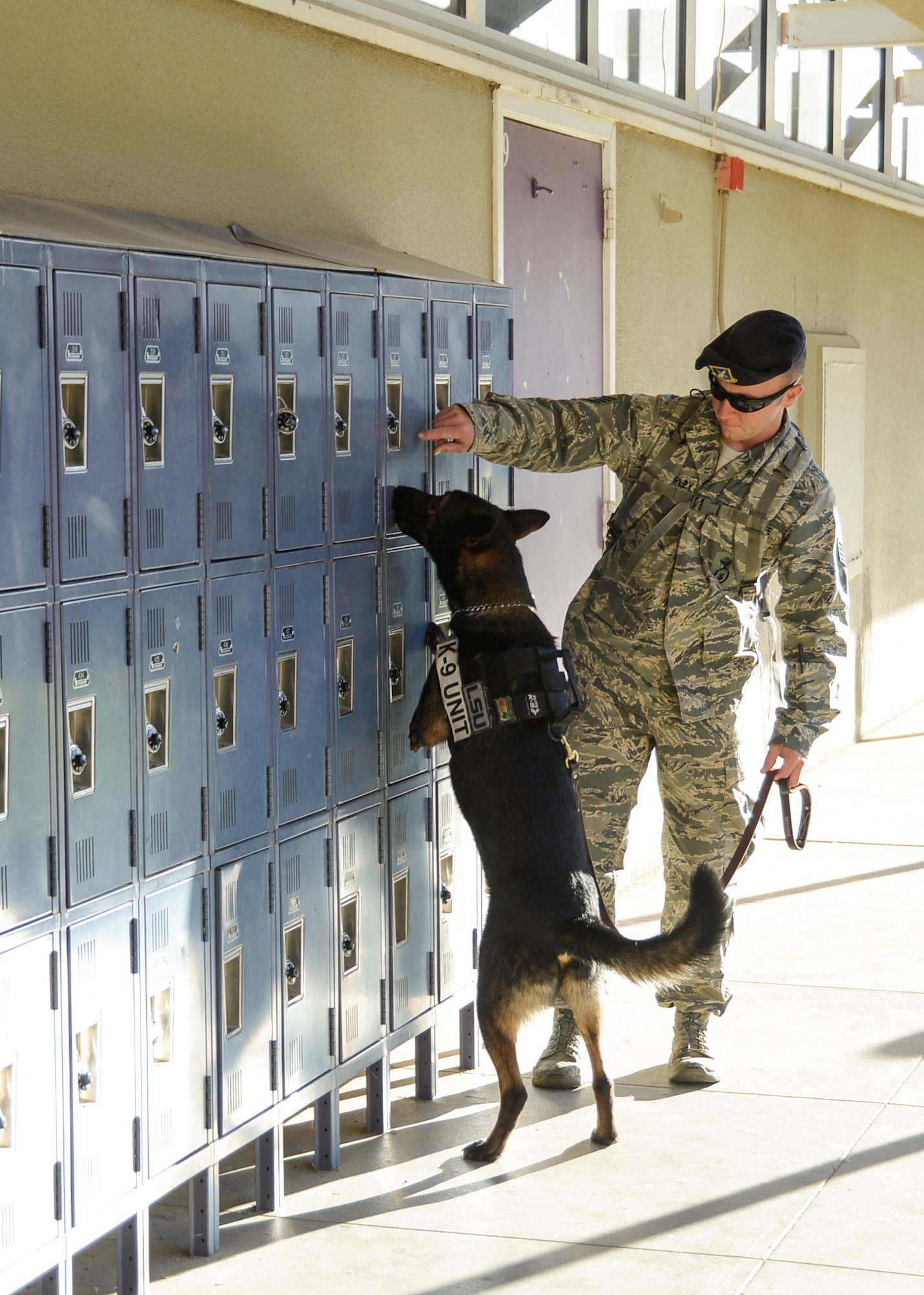 Staff Sgt. Brett Hurley, 412th Security Forces Squadron, and his working dog Rex checked each locker and car on the Desert Junior Senior High School campus for illegal drugs Oct. 18. (U.S. Air Force photo by Rebecca Amber). 