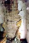 Plaster and wallpaper rots away from the wooden skeleton of an abandoned home in Tagus, N.D. Tagus is located 40 miles west of Minot, N.D., along the transcontinental route of the Great Northern Railway. (U.S. Air Force photo/Senior Airman Stephanie Sauberan)