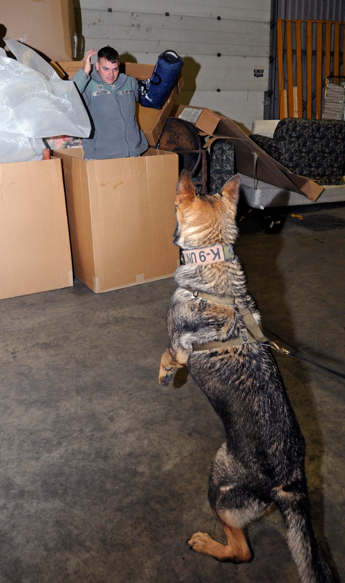 U.S. Air Force Staff Sgt. John Houston, 100th Security Forces Squadron Military Working Dog trainer, and MWD Zulton perform bite training Oct. 10, 2013, on RAF Mildenhall, England. Houston is from Jefferson, Ind., and is one of two K-9 trainers on base. The trainers use a padded sleeve to protect themselves from injury during training. (U.S. Air Force photo by Senior Airman Christine Griffiths/Released)