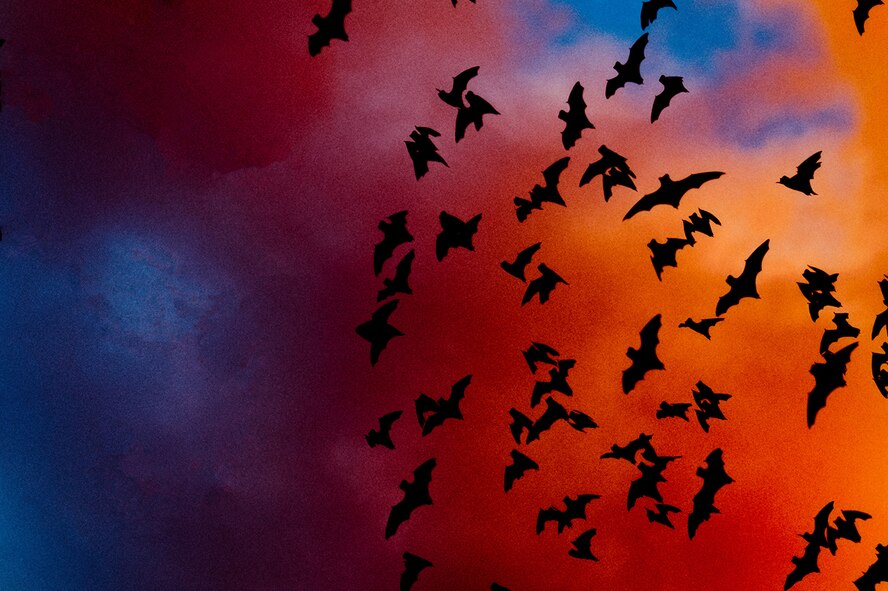 Located about 11 miles northwest of Joint Base San Antonio-Randolph, Texas, is the true “bat cave.” Bracken Cave nests millions of migratory Mexican free-tailed bats from March to October and is the largest bat and mammalian colony on earth. (U.S. Air Force photo illustration by Tech. Sgt. Samuel Benedet/Released)
