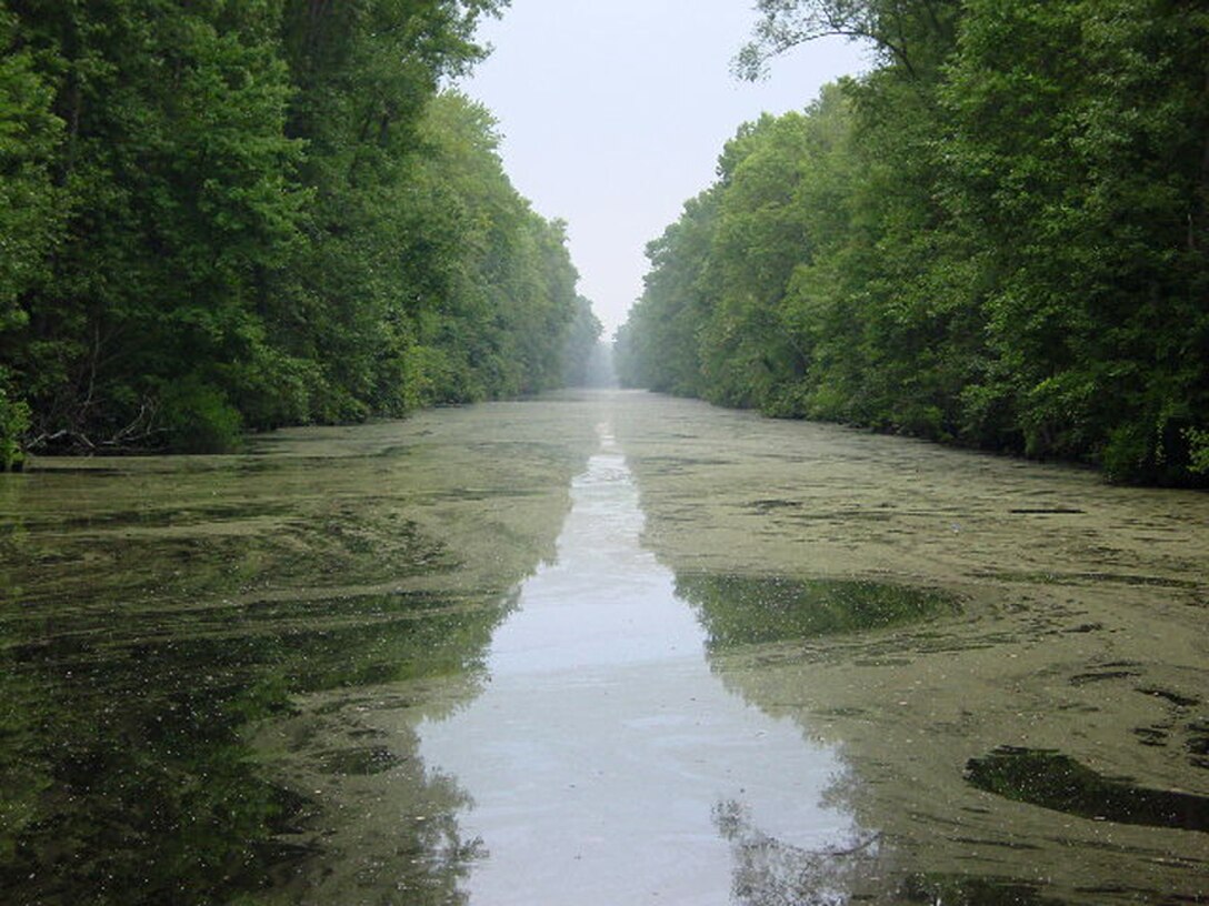 A view of the Atlantic Intracoastal Waterway after a vessel passes through.