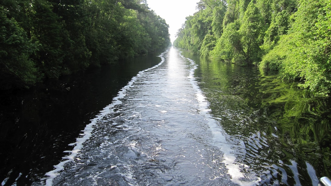 A scenic view of the Dismal Swamp, or Atlantic Intracoastal Waterway in Virginia.