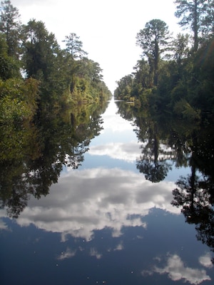 A scenic view of the Dismal Swamp, or Atlantic Intracoastal Waterway in Virginia.