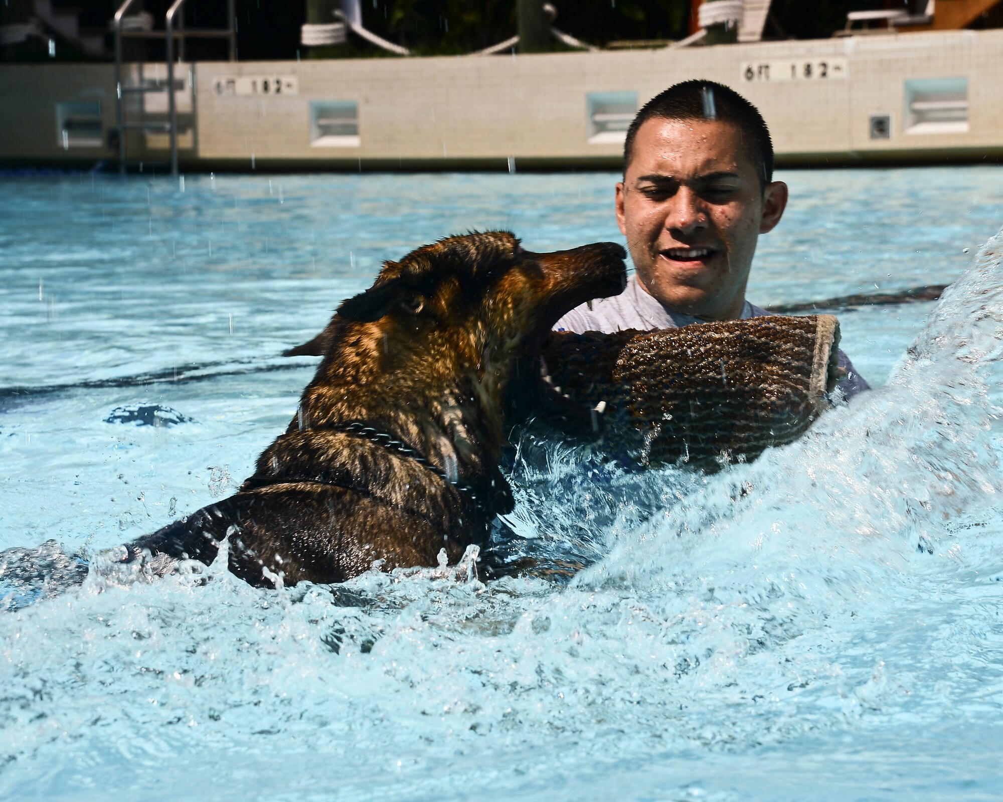 Staff Sgt. Alex Lazala, 6th Security Forces Squadron military working dog handler, and Rick, 6th SFS MWD, participate in a water training exercise, Tampa, Fla., Oct 15, 2013. This training allows the dogs to become familiar with apprehending a suspect in water. (U.S. Air Force photo by Senior Airman Melanie Bulow-Kelly/Released)