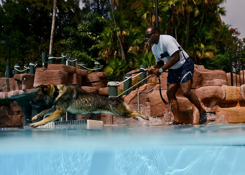 Staff Sgt. Erin Sims, 6th Security Forces Squadron military working dog handler, releases Zoran, 6th SFS MWD, to find the decoy perpetrator during a water scenario, Tampa, Fla., Oct 15, 2013. Water training is not part of the standardized training MWDs receive; however, being that MacDill Air Force Base is surrounded by water it’s beneficial for the K-9 here to have this training. (U.S. Air Force photo/Senior Airman Melanie Bulow-Kelly)