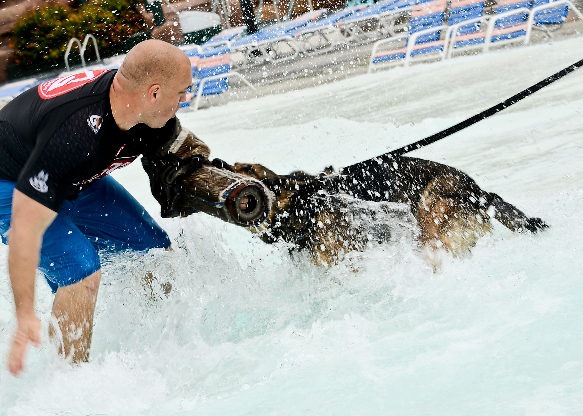 Ryan Flannigan, Tampa Police Department K-9 handler, conditions Rick, 6th Security Forces squadron military working dog, to water aggression at a local water park in Tampa, Fla., Oct. 15, 2013.The 6th SFS MWD section joined forces with the Tampa, Largo, Clearwater, Hernando, and Pinellas County police department K-9 units to safely introduce controlled aggression in the water. (U.S. Air Force photo by Senior Airman Melanie Bulow-Kelly/Released)