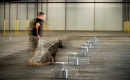Staff Sgt. Craig Martin, 628th Security Forces K’9 handler, and his dog, Chico, do a search inside a warehouse October 22, 2013 during Explosives detection training in Summerville, S.C. During this training, the dogs undergo obstacles where they searched through blocks or warehouse equipment for substances that are and may be used by terrorists or criminals. (U.S. Air Force/Senior Airman Ashlee Galloway)

