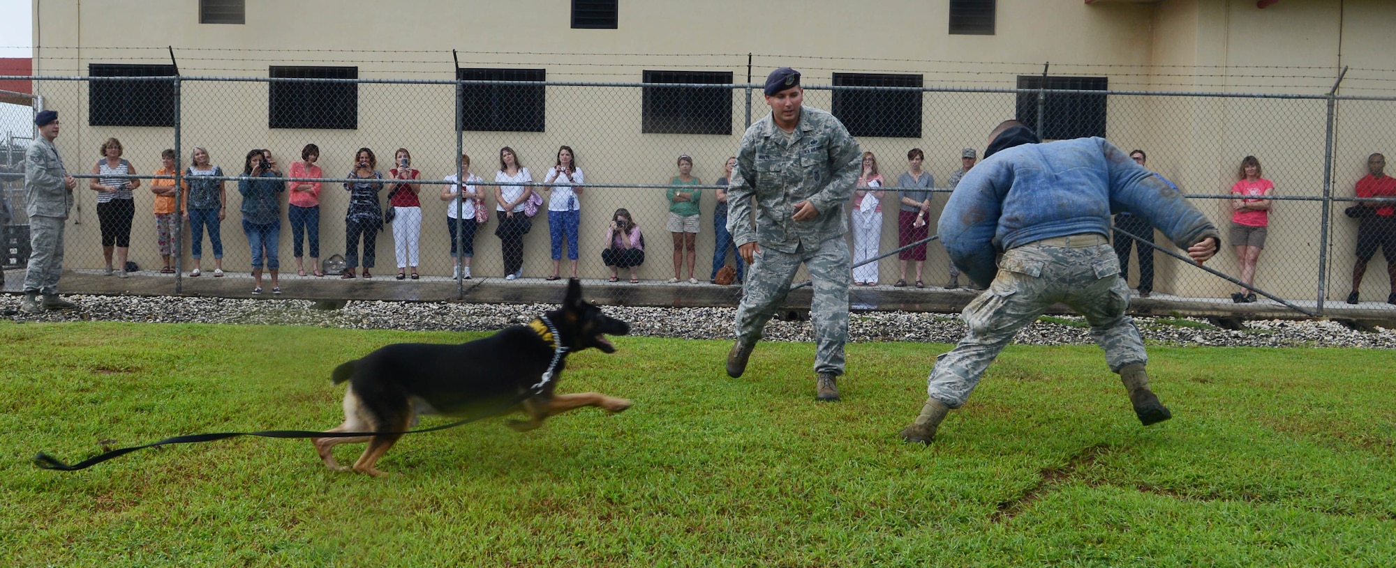 Staff Sgt. Terry White, 36th Security Forces Squadron military working dog handler, releases “Bogi” on a decoy during a demonstration for military spouses Oct. 22, 2013, on Northwest Field, Guam. 36th Wing commanders’ and chiefs’ spouses observed the demonstration during a base tour for a better understanding of the capabilities of the handlers and their dogs. (U.S. Air Force photo by Airman 1st Class Emily A. Bradley/Released)