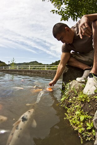 Christopher Pou, Single Marine Program cleanup event participant, feeds Koi fish after the cleanup at Futashika Umezu Falls and park, May 17, 2013. Volunteers spent the first part of the day traveling down paths through the falls and park, picking up trash and debris along the way. Participants spent the other half of the trip enjoying a barbeque and exploring other areas of the park, one of which included an obstacle course with several sections that scaled up a nearby mountain.