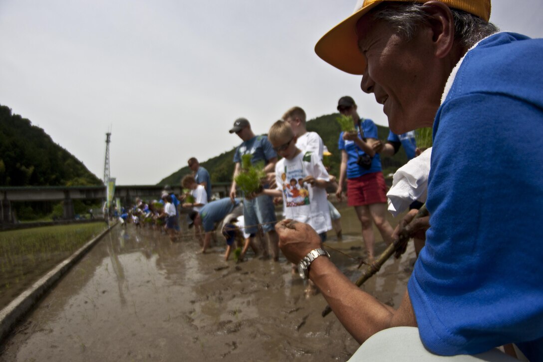 Rice-planting event participants plant nae, or young rice plants, during the event, which took place June 8, 2013. Per demonstration, planters took approximately three seeds of rice for each spot. Each person then placed their seeds at designated locations, marked by red ribbons on a guiding string.