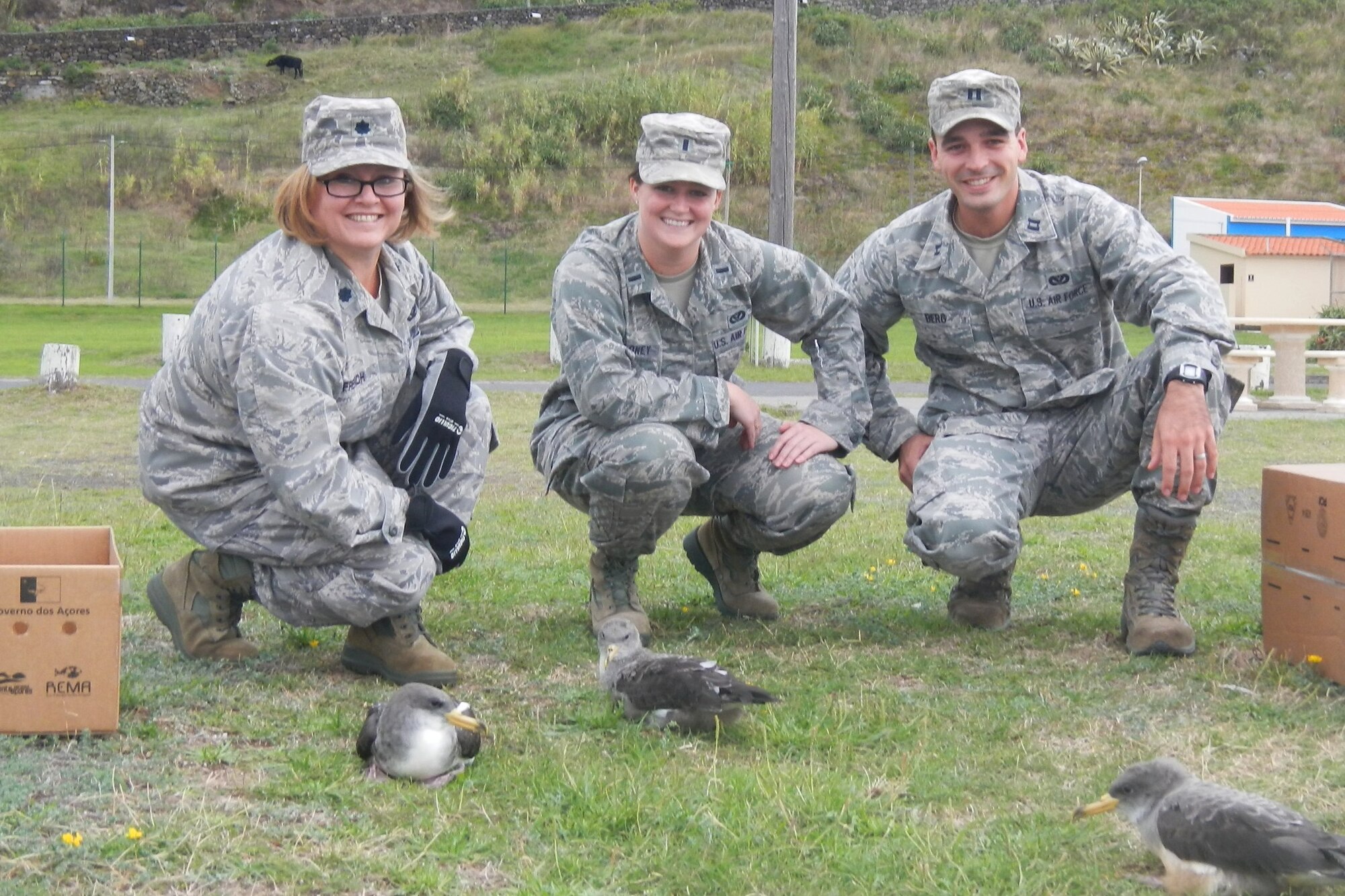 Lajes Airmen release three Cory's Shearwater sea birds near the shoreline in Praia da Vitoria, Azores, Oct. 25, 2013. The Lajes Cory's Shearwater Rescue Campaign is on the road in support of the Azores SOS Cagarro campaign Oct. 15 through Nov. 15. Also known as Cagarro in Portuguese, the Cory's Shearwater sea bird is unique in that 75 percent of the world's population mates here in the Azorean archipelago. As such, these birds are protected by Portuguese and international laws, and the people of the Azores have a very important role in the conservation of this species. (U.S. Air Force photo by Vitor Berbereia)